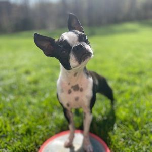 Meet your Posher, Lindsay